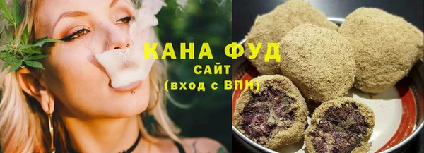 индика Богданович